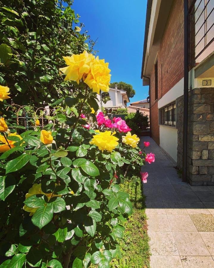 Casa Summer เชชินา ภายนอก รูปภาพ